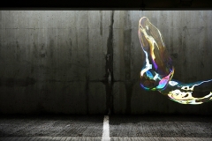 _6AN8243******