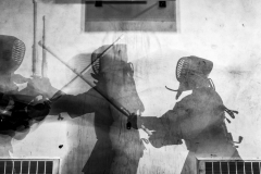 6AN9736______-Edit-copy-website