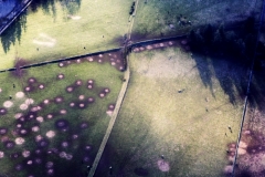 HELICOPTER TRIP MARCH PROCESRAW2 poss