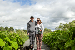 6AN8224Cused-copy